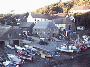 Cadgwith, evening sunshine